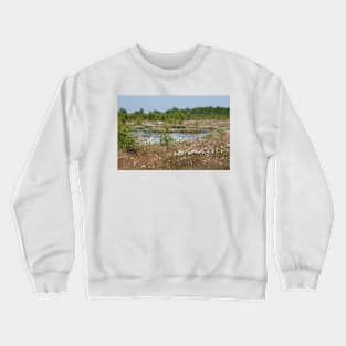 Neustädter Moor, floating grass, Lower Saxony, Germany Crewneck Sweatshirt